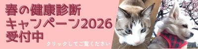 春の健康診断キャンペーン2026受付中